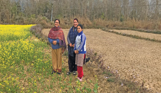 Women’s cooperative cultivates barren land