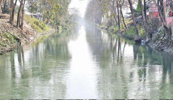 Irrigation eased for wheat crops after water release in Gandak canal