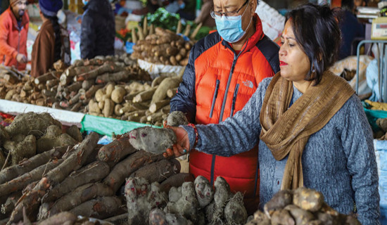 Yams supply up in market ahead  of Maghe Sankranti