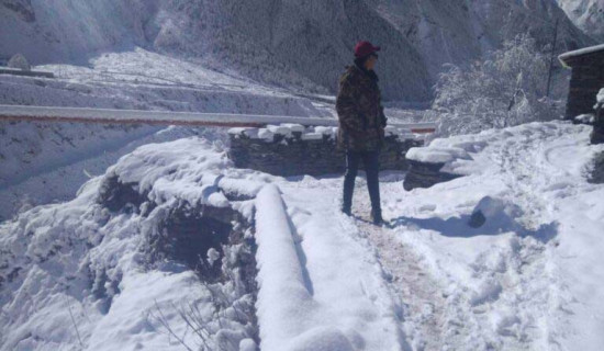 Snowfall in Chhekempar, northern Gorkha, affects daily life