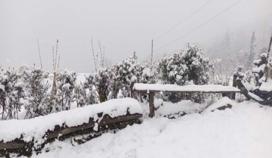 Bajura receives snowfall, farmers elated