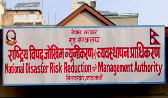 Dr Bhusal entrusted as acting chief of NDRRMA