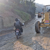 Paddy production goes down in Jhapa