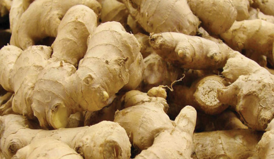 Ginger sale increases in Rukum West