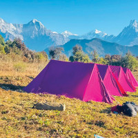 Paddy production down in Bagmati province