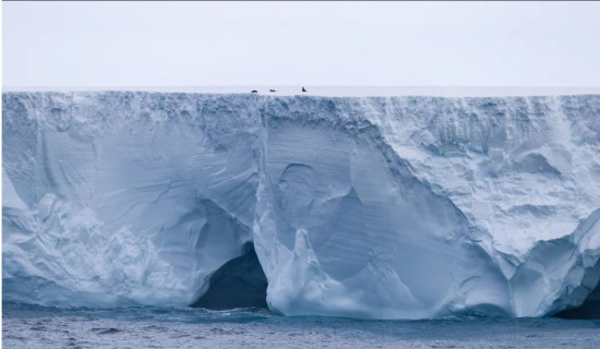 Fears that the world’s biggest iceberg could hit island in the South Atlantic