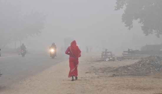 Cold wave cripples life in far west