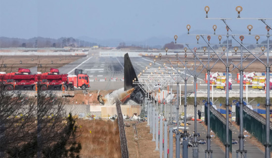 Bird feathers and bloodstains found in Jeju jet engines