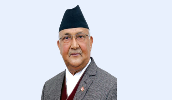 Ordinances received positively: PM Oli