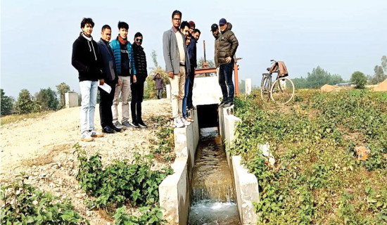 Water flows to Akalgharuwa from  Sikta Irrigation Project