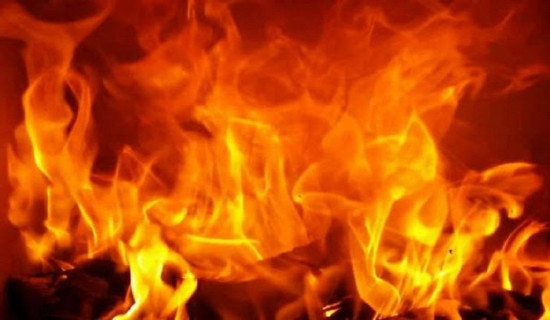 Property worth Rs 6.5 million perish in fire