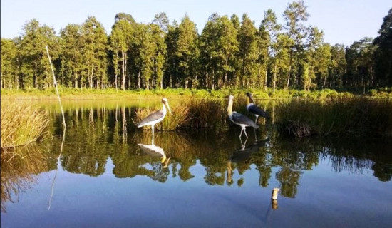 World Wetlands Day being observed today