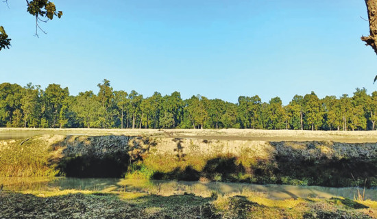 Commercialisation saves wetlands in Morang, harms in Kailali