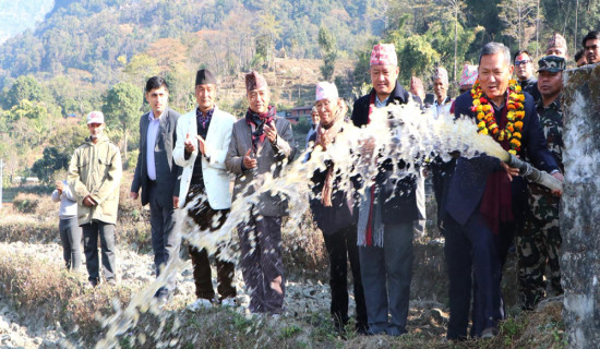 Gandaki Province CM Pandey wins vote of confidence