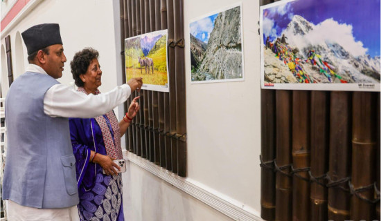 Photo exhibition in Sydney