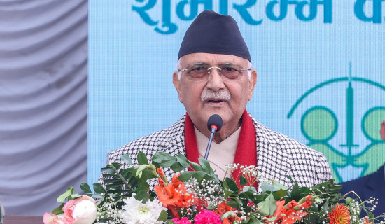 Combined efforts needed for success of Healthy Nepal Campaign: PM Oli