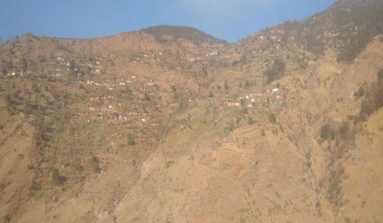 Winter crops drying out  amid prolonged dry spell