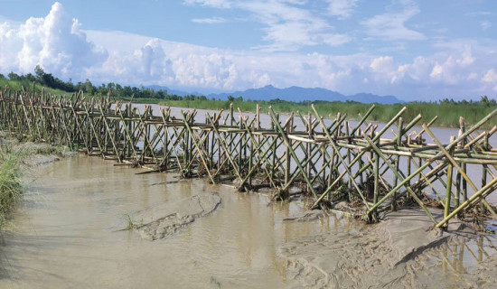 Bamboo fencing built to stop floods, erosion