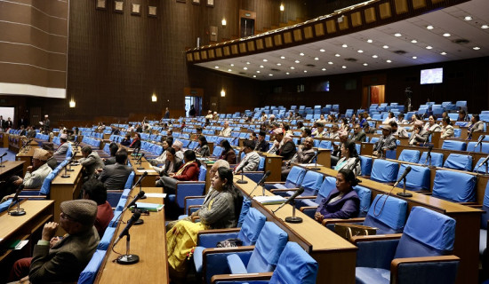 HoR Session: Lawmakers draw government's attention on various contemporary issues