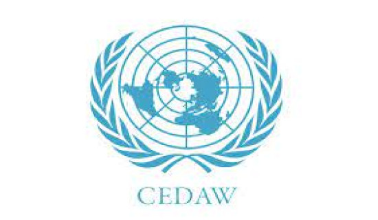 Nepali single women's issues raised at CEDAW meeting