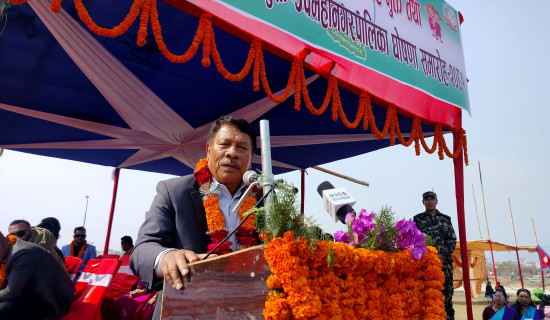 Govt. at work for effective public service: DPM Singh