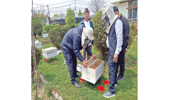 36 beekeepers in Kharmi get modern apiaries