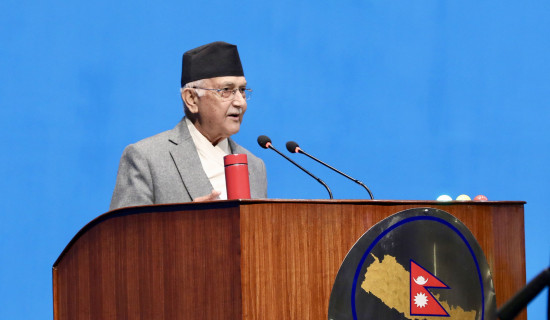 Two big political parties form govt for nation's development and stability: PM Oli