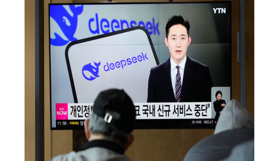 SKorea halts Deepseek's AI apps downloads over privacy