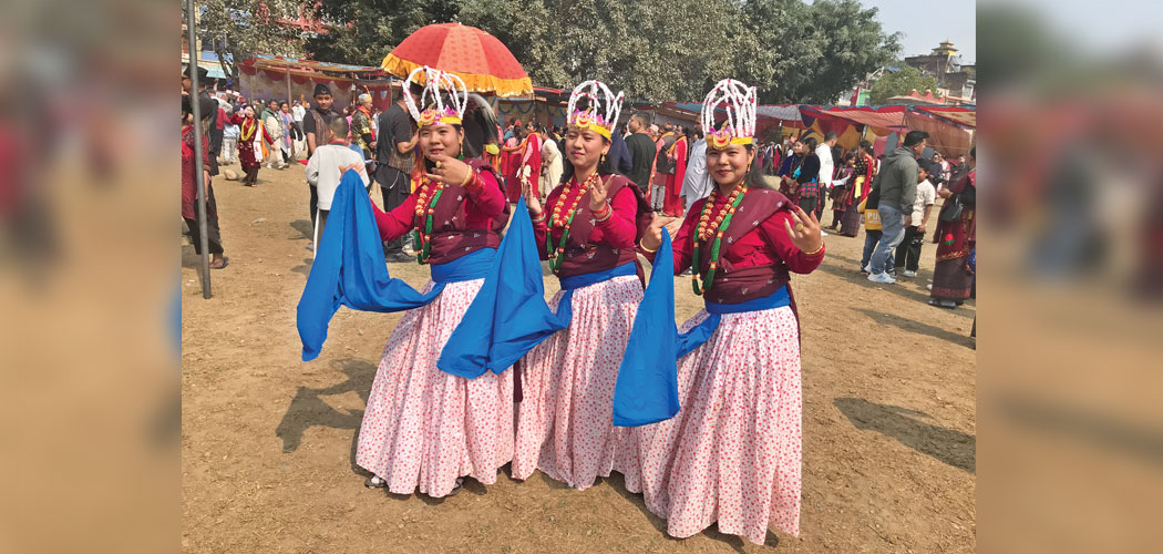 Multicultural festival begins