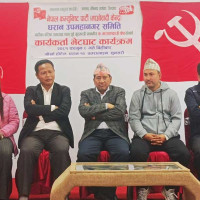 Government serious about voting right of NRNs: PM Prachanda