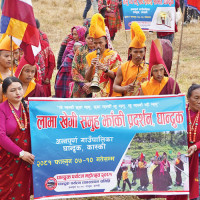 Distribution of millet seeds in subsidy to promote its cultivation