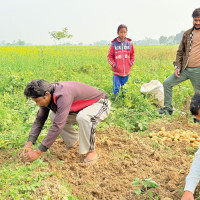 Shifting Nepali Farms As Men Migrate