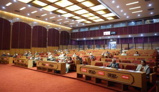 National Assembly draws government's attention