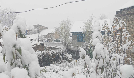 Snowfall in Dhorpatan