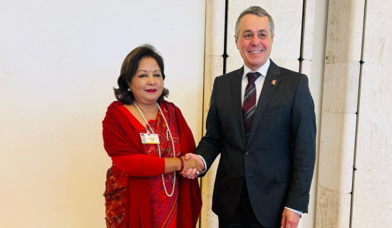 Foreign Minister meets with Swiss counterpart