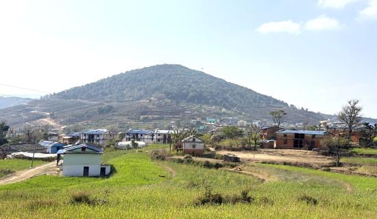 Dhakari village