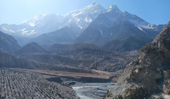 Snow-covered Nilgiri Mountain