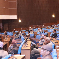 HoR session: Government's response to FATF 'grey list' demanded