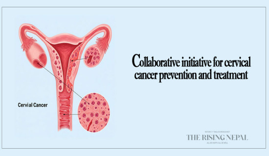 Collaborative initiative for cervical cancer prevention and treatment