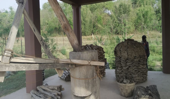 Traditional oil press machines in museum