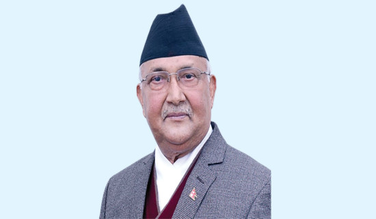 PM: Nepal-Japan friendship pure, unblemished