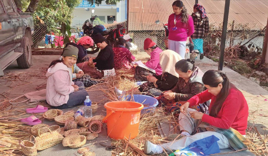 Women learning to make crafts from cardamom fibres