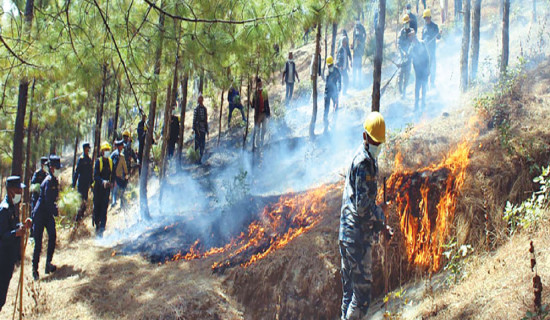 Fire engulfs two community forests in Palpa