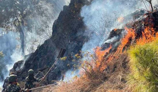 Palpa wild fire causes damages to four community forests