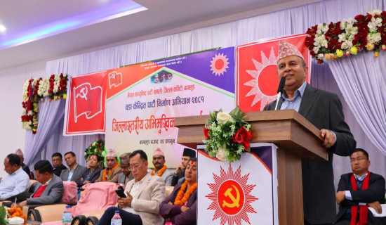 Stable politics thru stable govt: General Secretary Pokharel