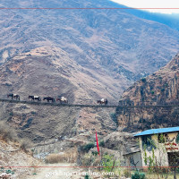 Dilapidated bridge over Phalakhu Khola at border of Rasuwa and Nuwakot