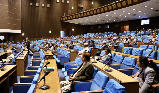 HoR passes proposal related bill on good governance promotion