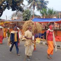 Farmers taking to onion cultivation for income potential