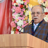 Culture's role vital for progress of society: DPM Singh