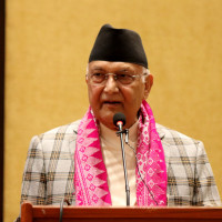 Budget will be brought in coordination of ministries, NPC: DPM Paudel